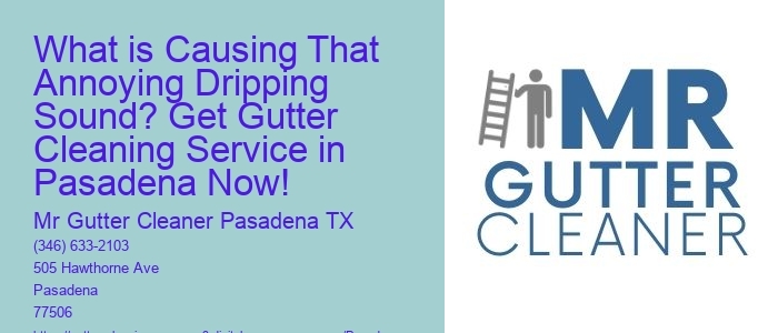 What is Causing That Annoying Dripping Sound? Get Gutter Cleaning Service in Pasadena Now!